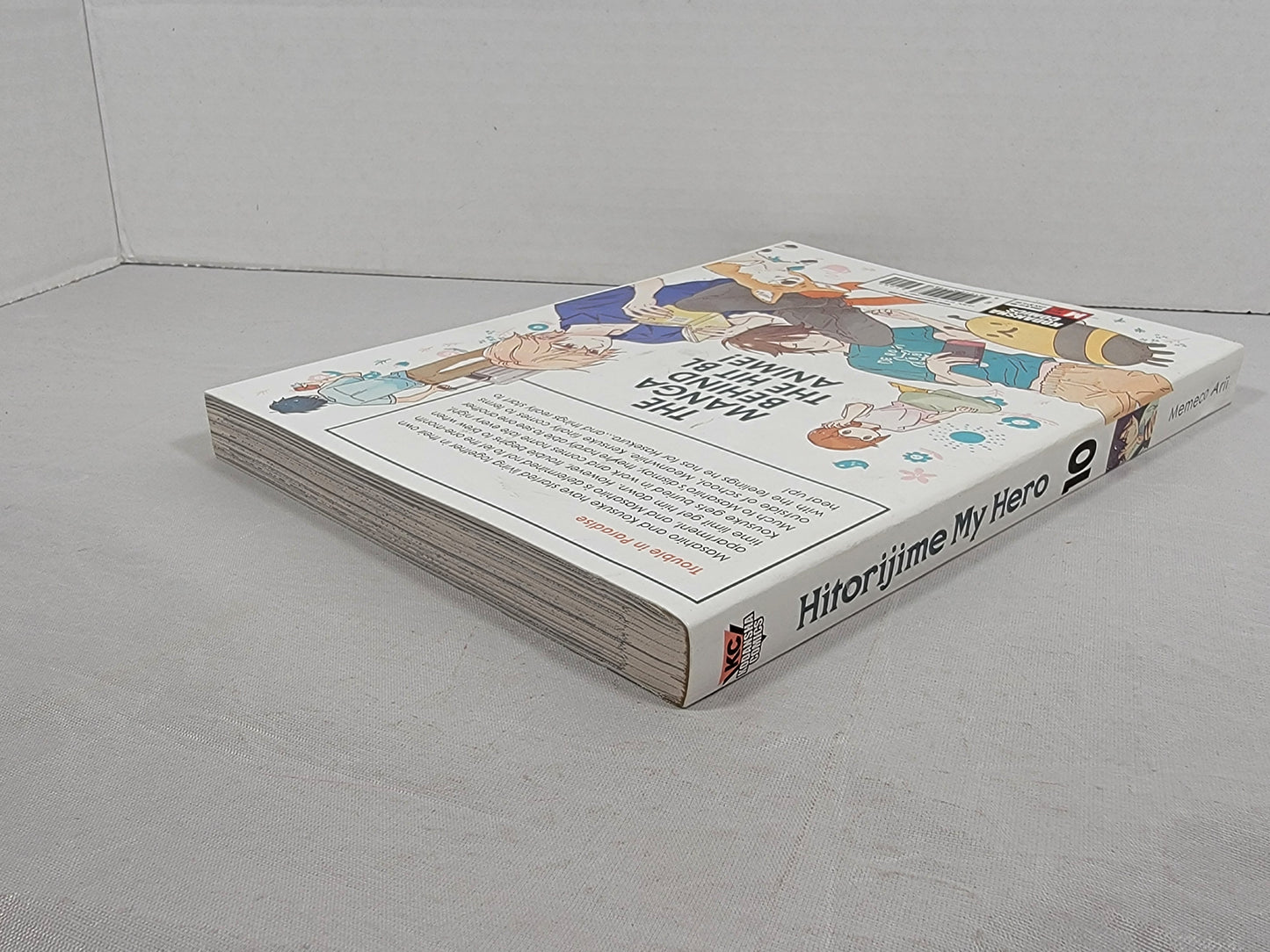 Hitorijime My Hero 10