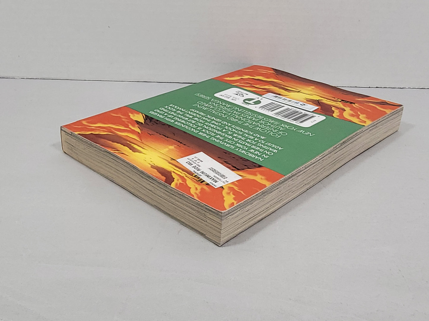 Maximum Ride 3