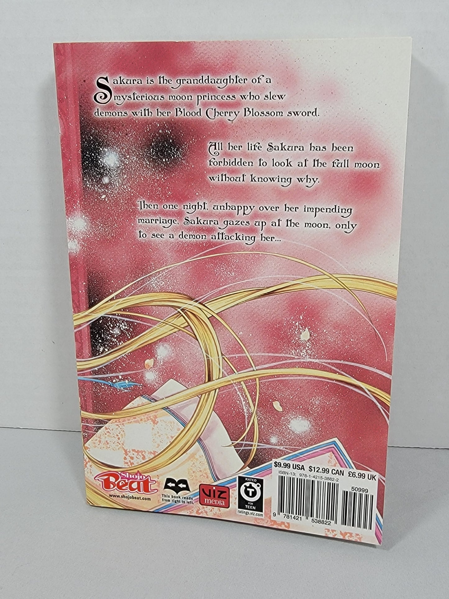 Sakura Hime: The Legend of Princess Sakura 1