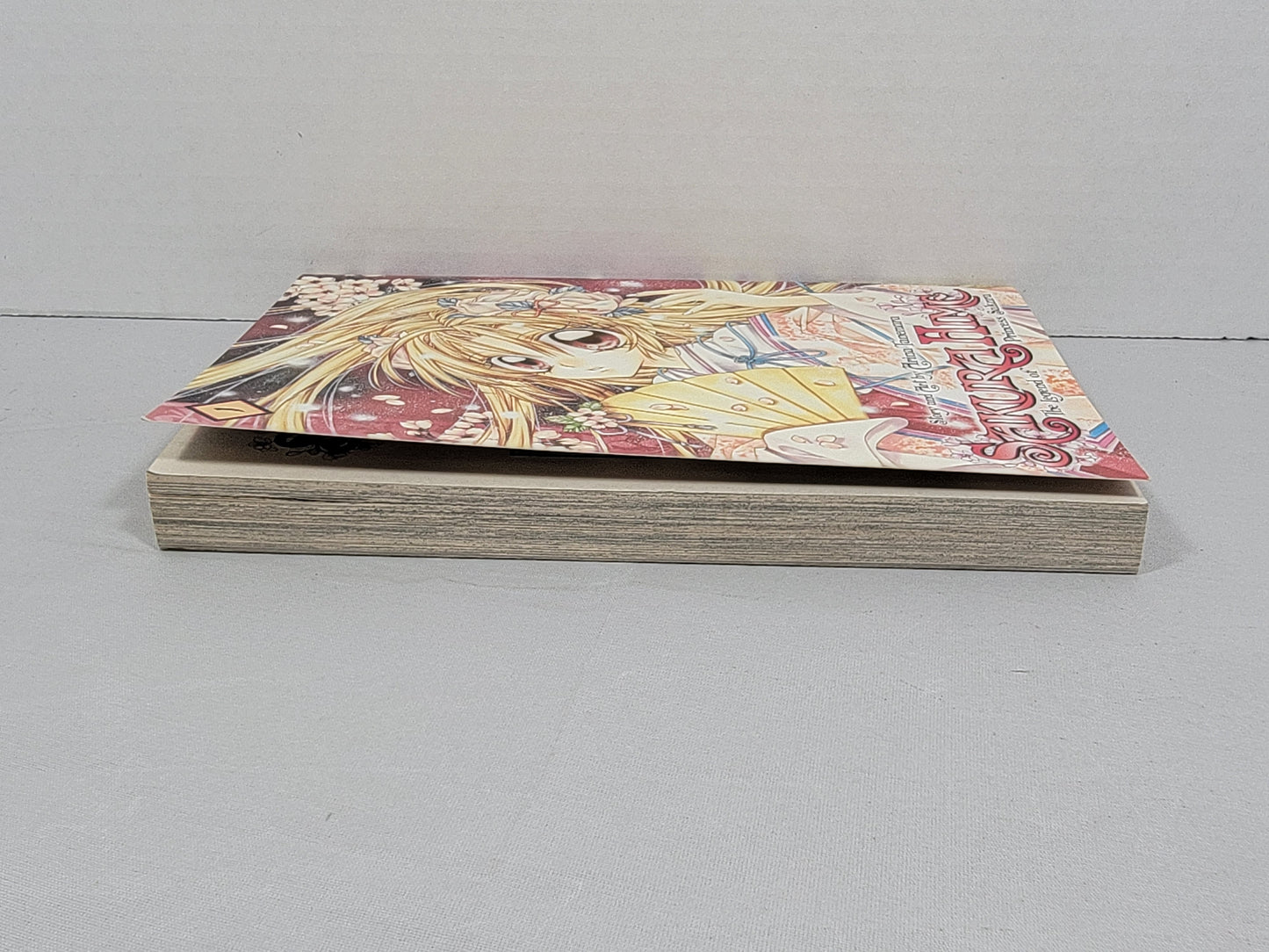Sakura Hime: The Legend of Princess Sakura 1