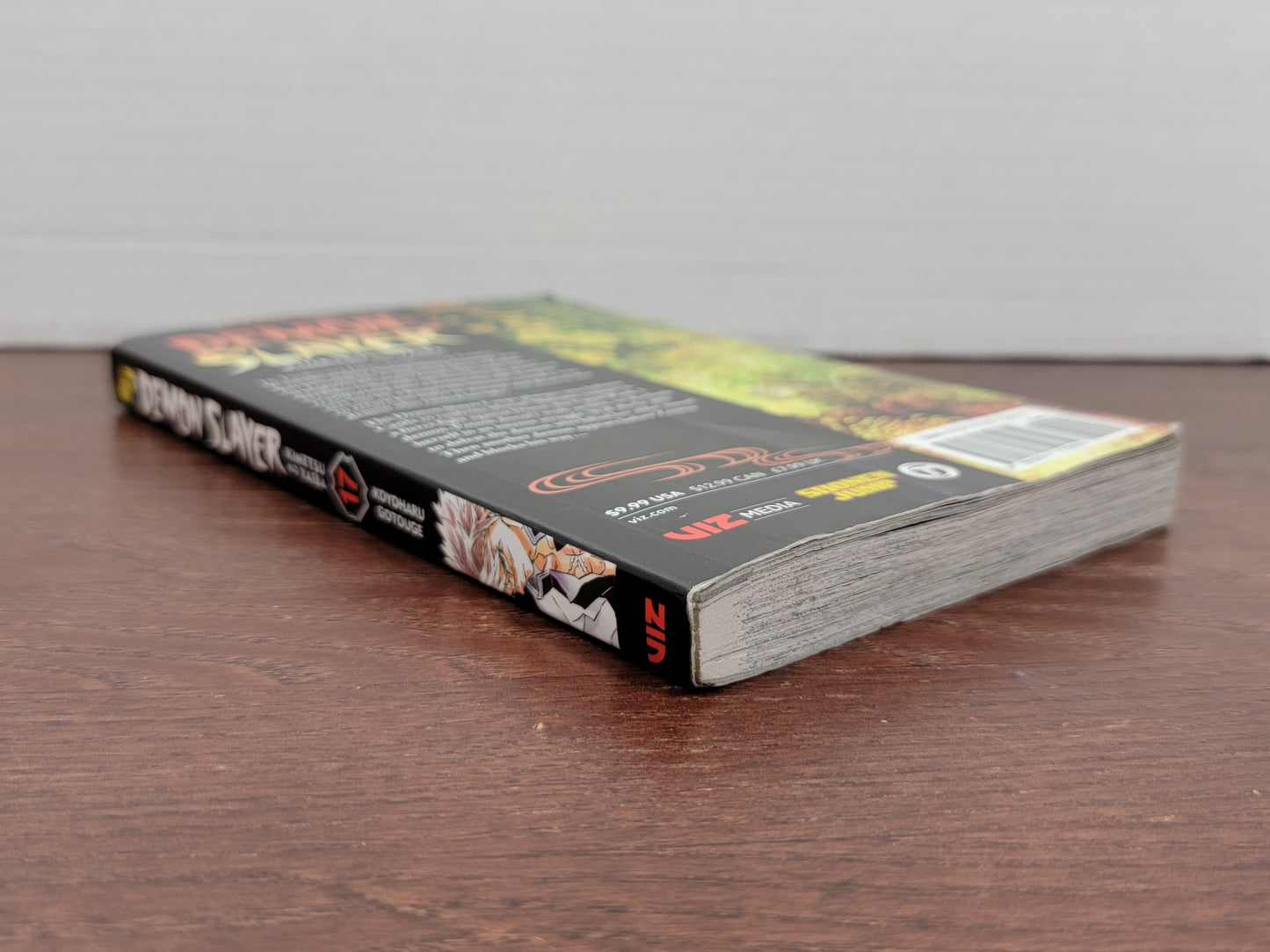 Demon Slayer: Kimetsu no Yaiba 17