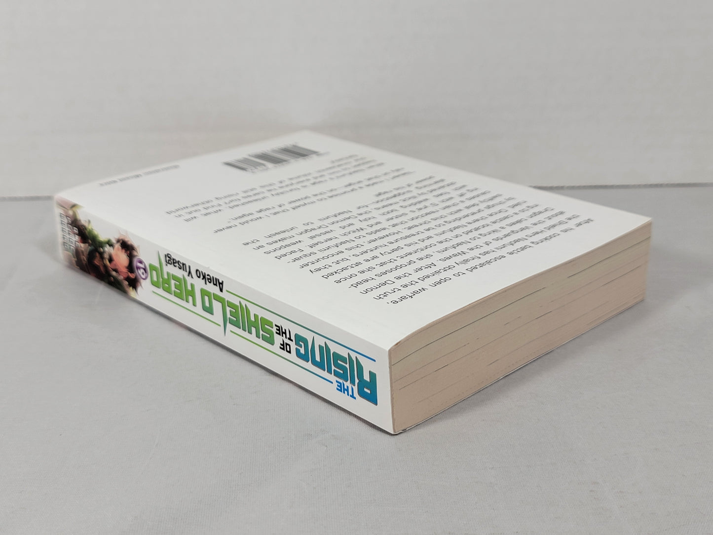 The Rising of the Shield Hero #19 (Light Novel, Aneko Yusagi, English, 2020)