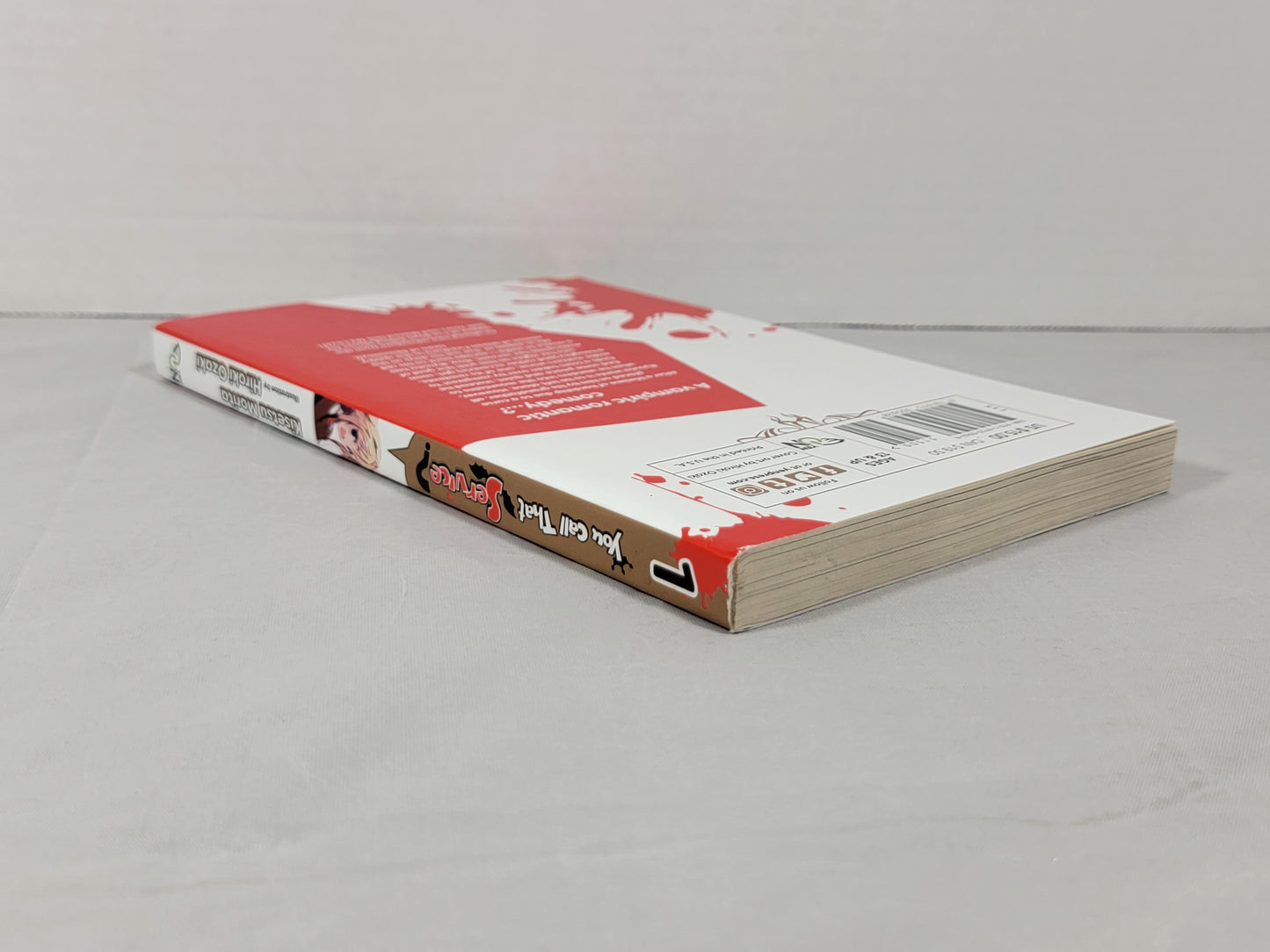 You Call That Service? #1 (light Novel, Kisetsu Morita, 2019, Yen On, English)