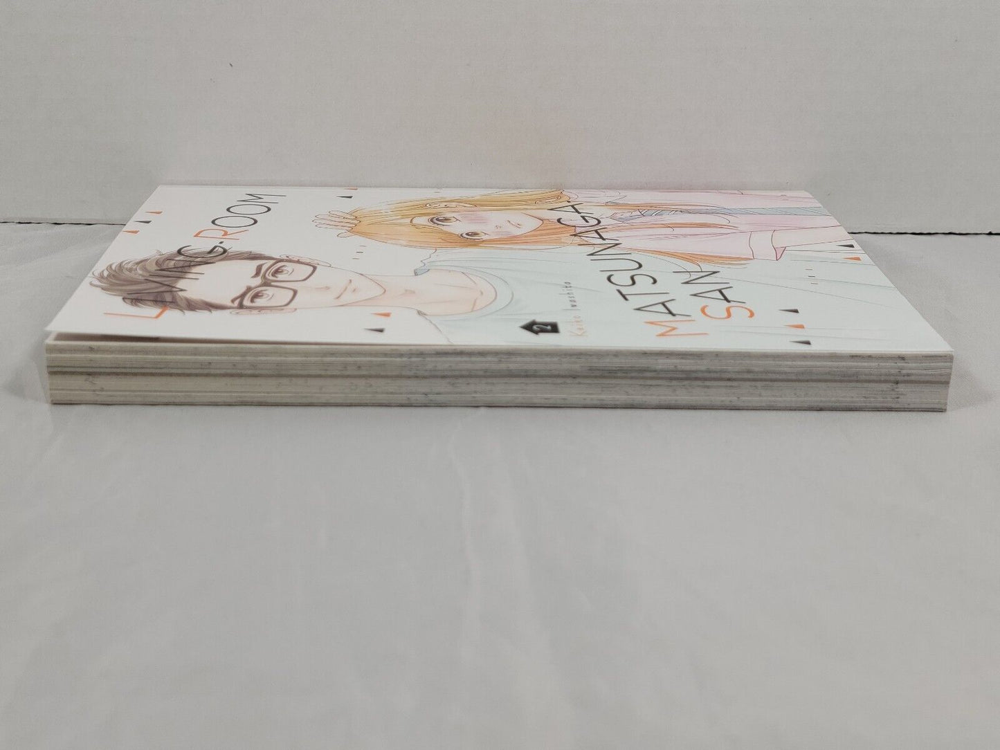 Living-Room Matsunaga-san #2 Keiko Iwashita, Kodansha, English, softcover