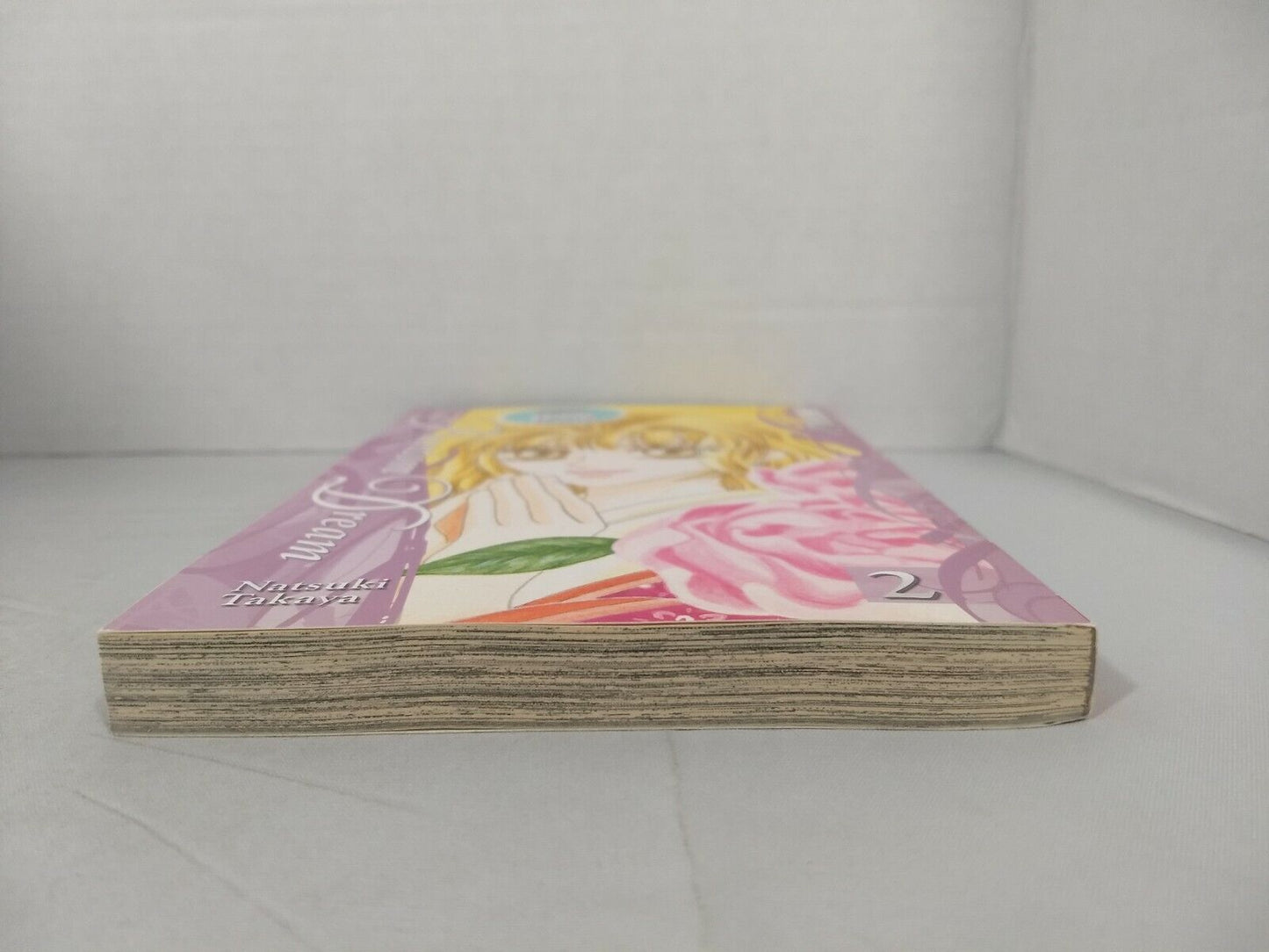 Phantom Dream, Vol. 2 by Natsuki Takaya