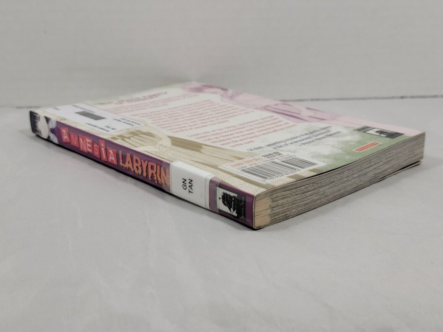 Amnesia Labyrinth #2 Ex-Library copy by Nagaru Tanigawa and Natsumi Kohane