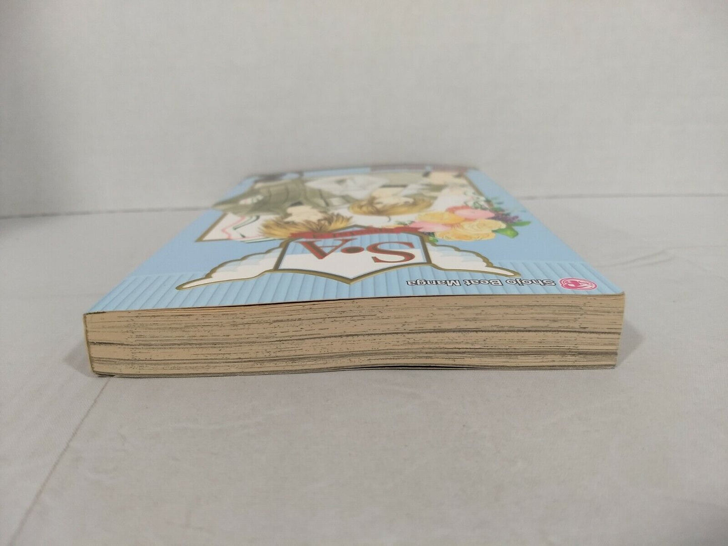 S.A, Vol. 2 by Maki Minami