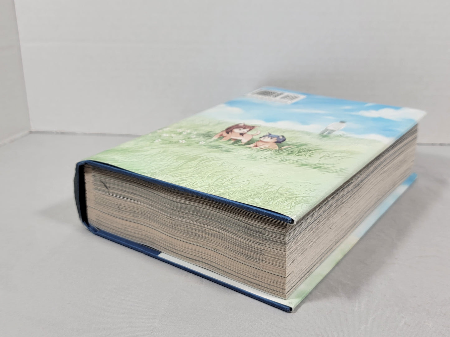 Wolf Children Ame & Yuki Vol 1 by Mamoru Hosoda