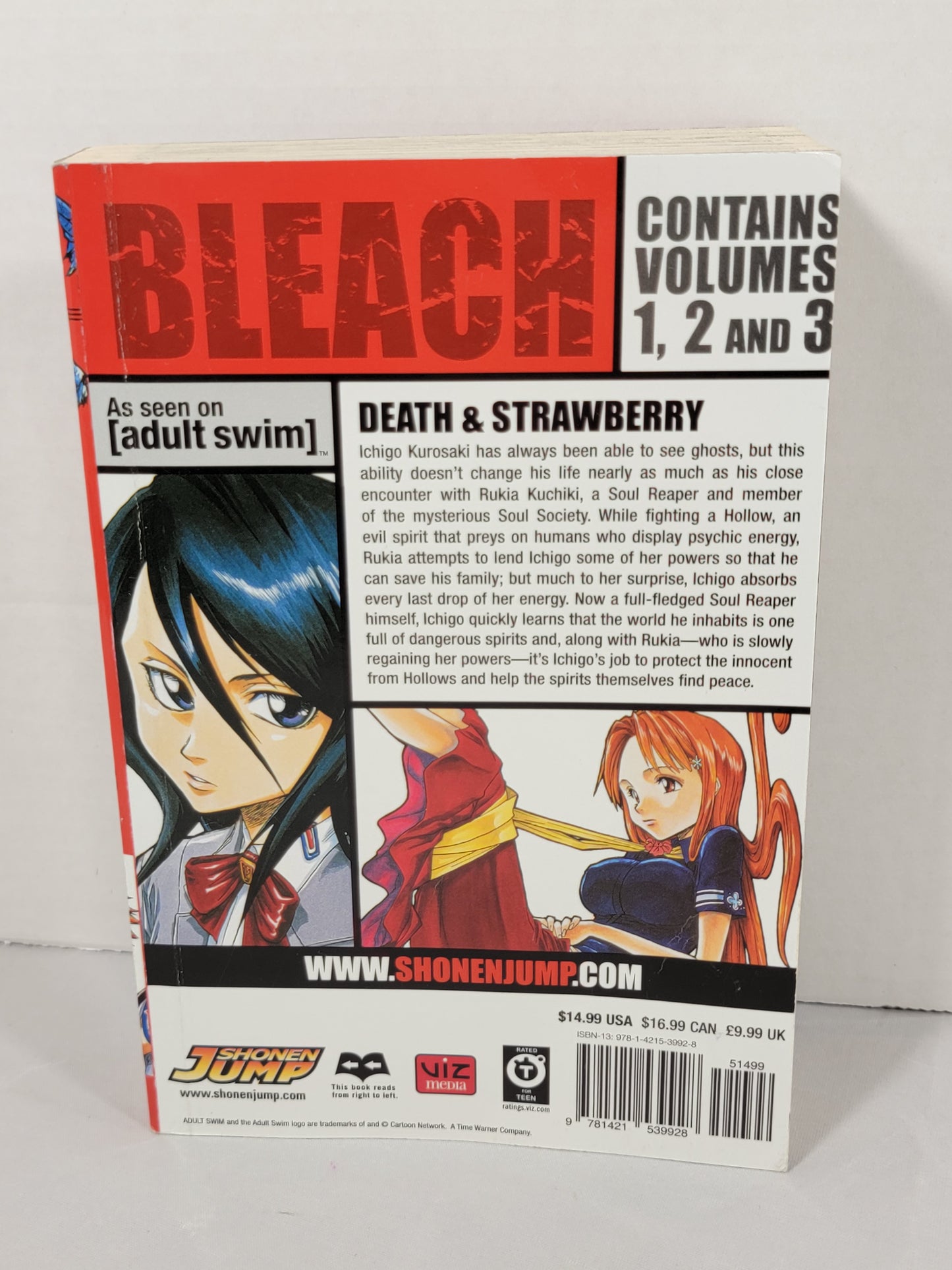 Bleach Vol 1 (3 - in - 1) by Tite Kubo