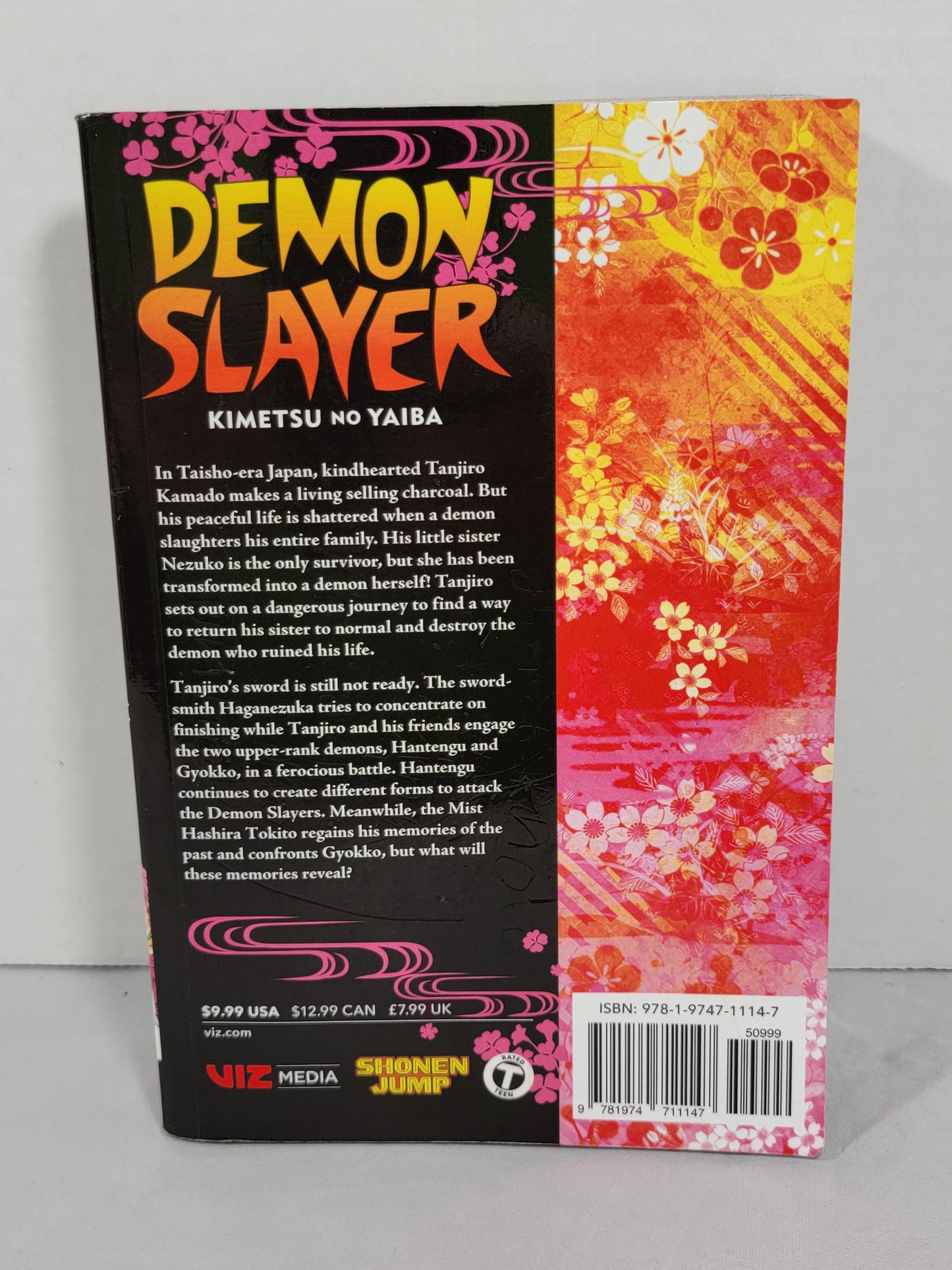 Demon Slayer 14