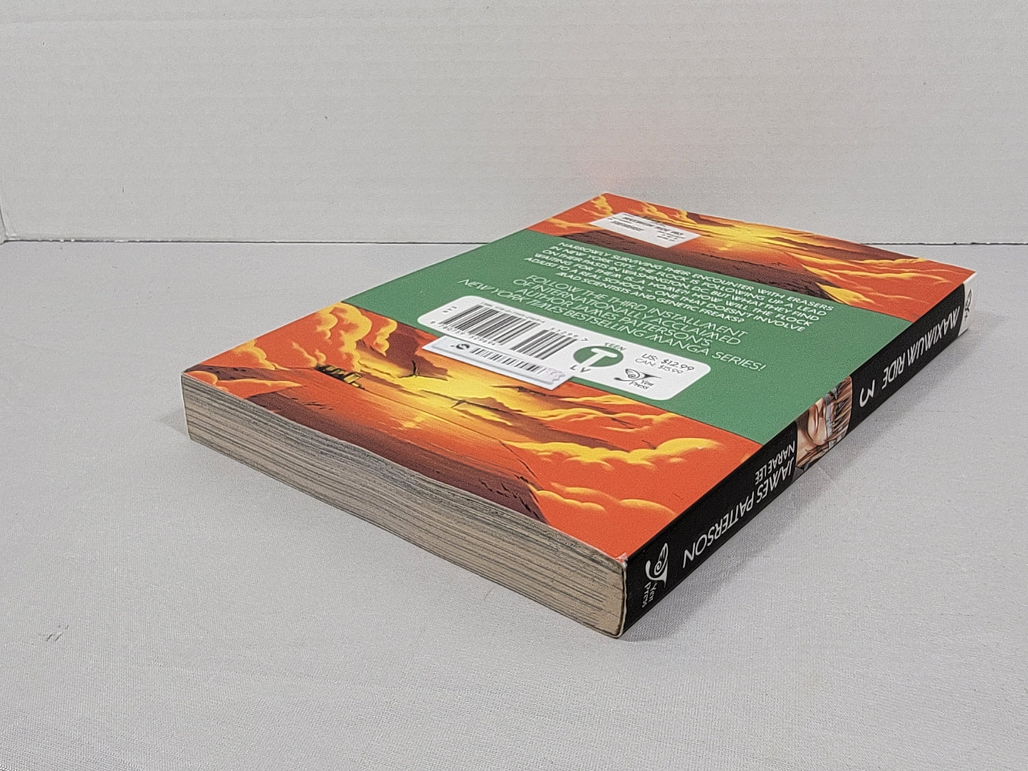 Maximum Ride 3