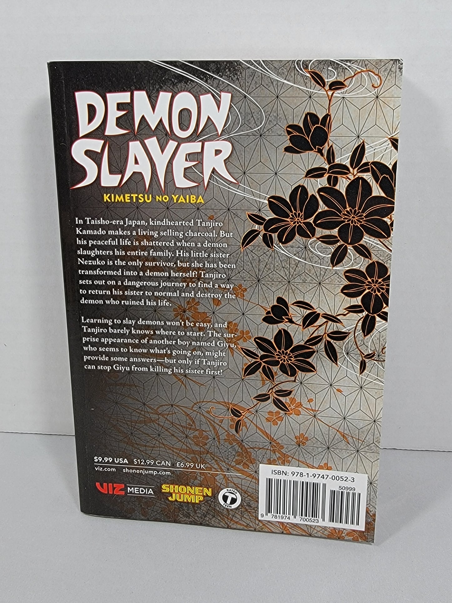 Demon Slayer 1