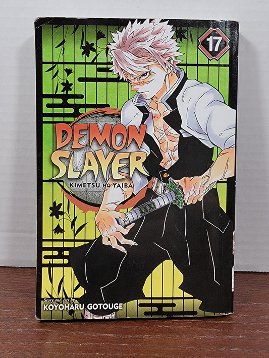 Demon Slayer: Kimetsu no Yaiba 17