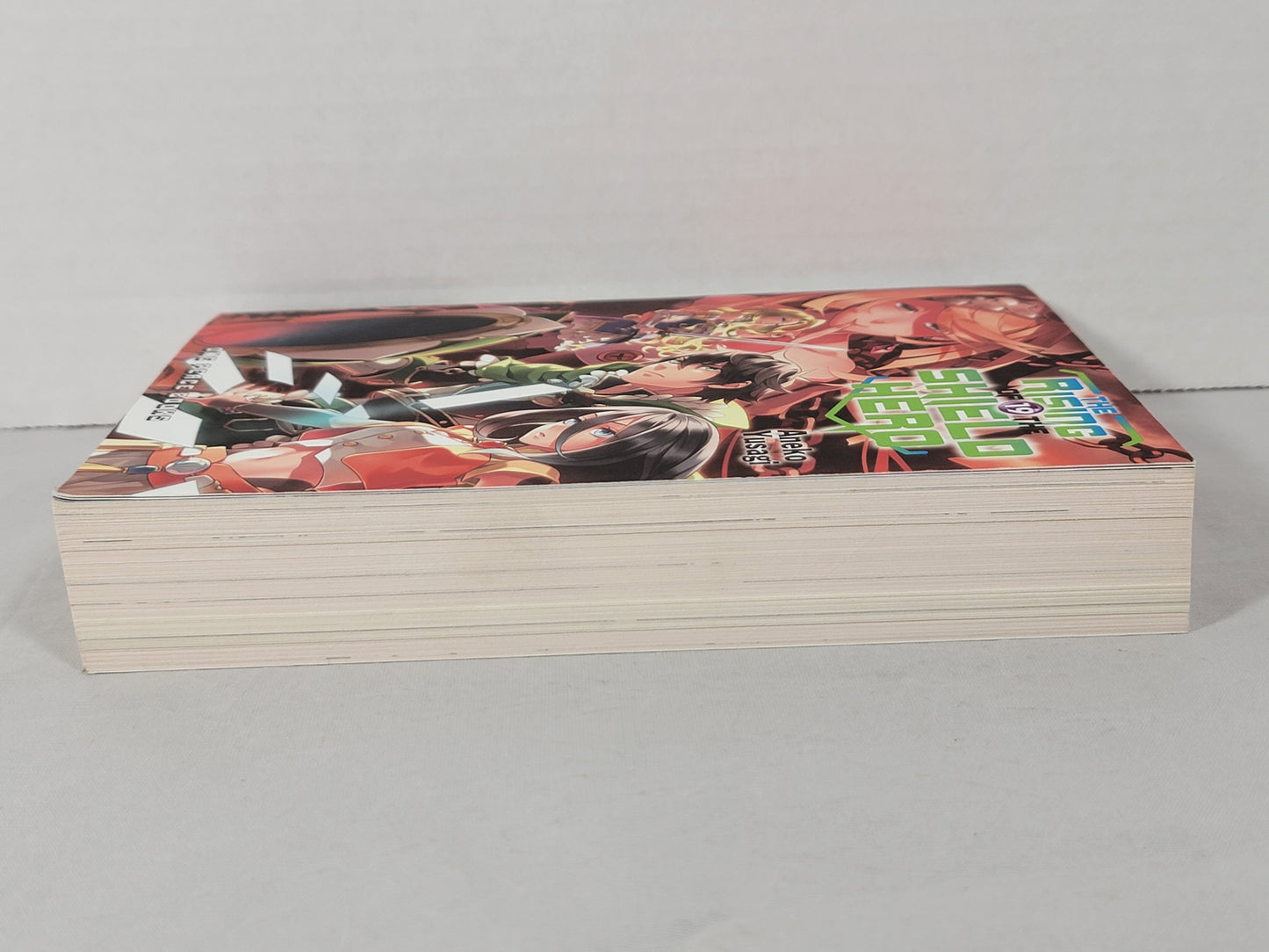 The Rising of the Shield Hero #19 (Light Novel, Aneko Yusagi, English, 2020)