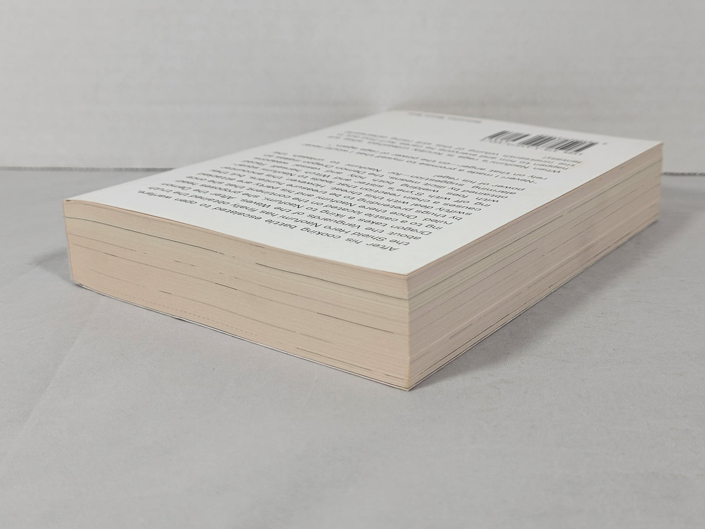 The Rising of the Shield Hero #19 (Light Novel, Aneko Yusagi, English, 2020)