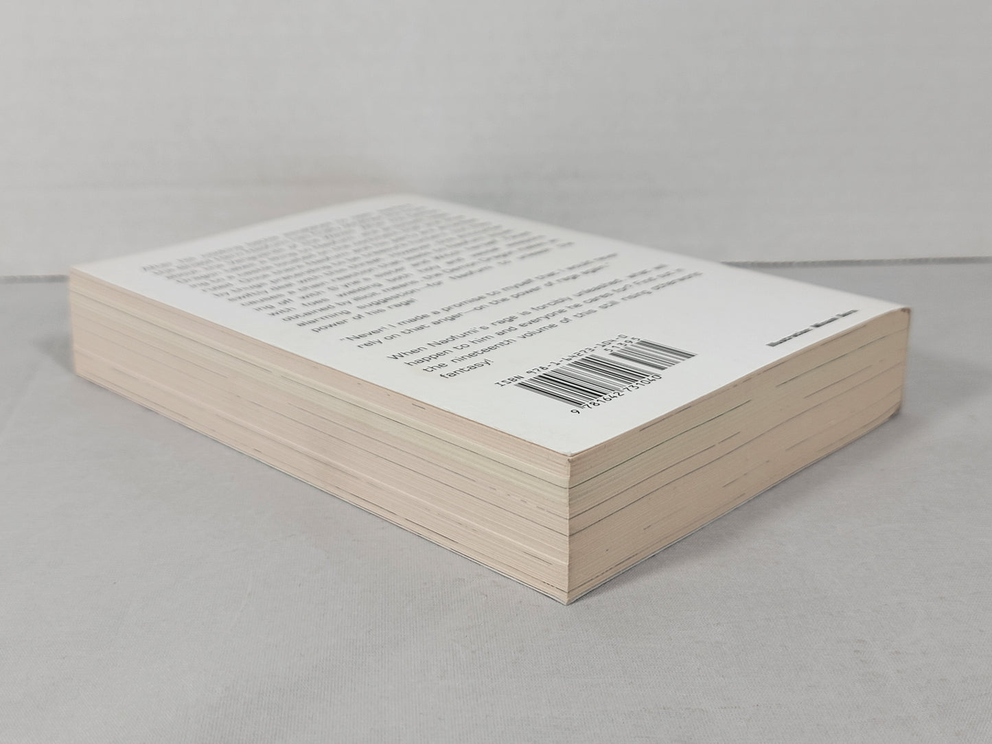 The Rising of the Shield Hero #19 (Light Novel, Aneko Yusagi, English, 2020)