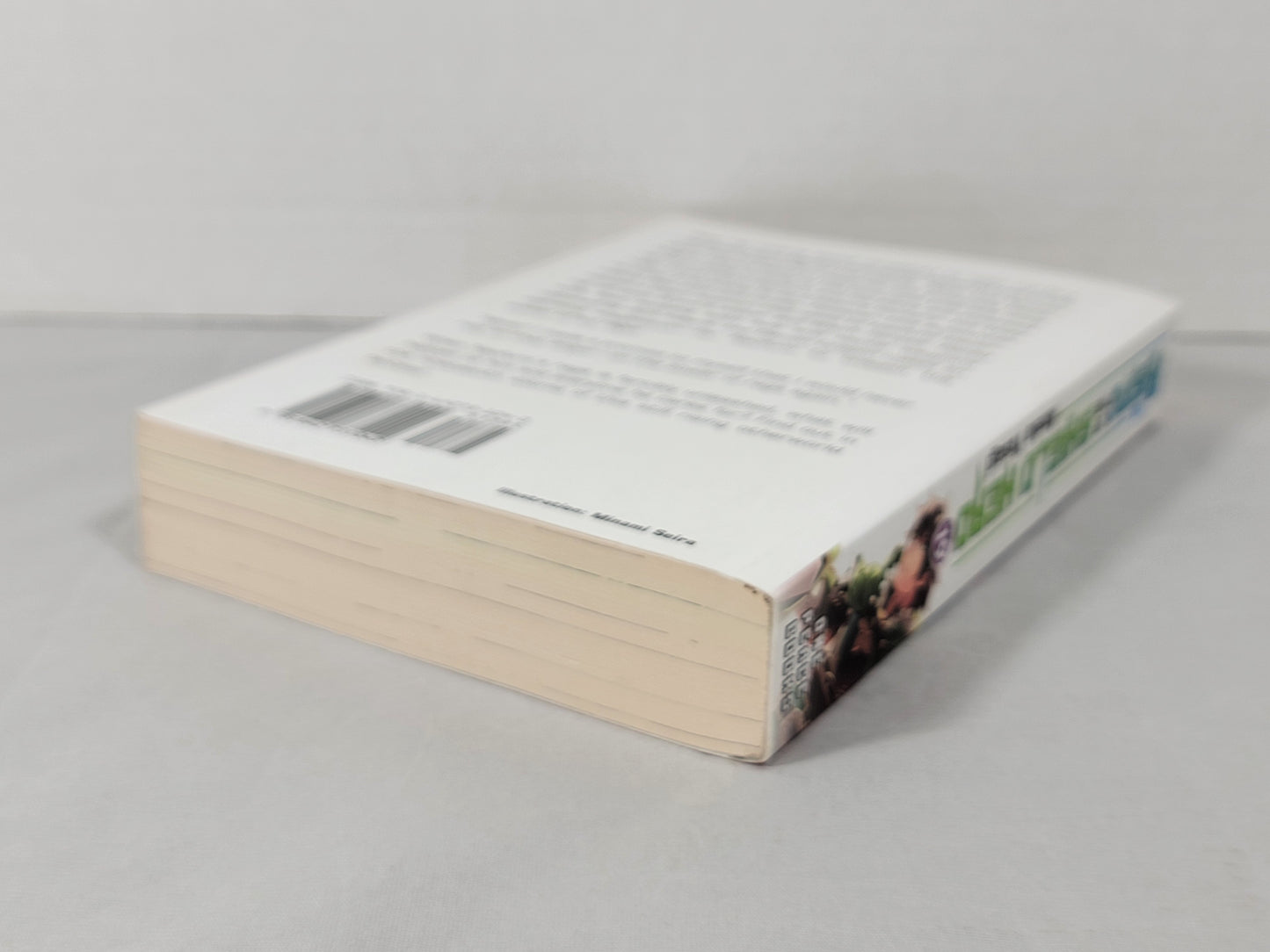 The Rising of the Shield Hero #19 (Light Novel, Aneko Yusagi, English, 2020)