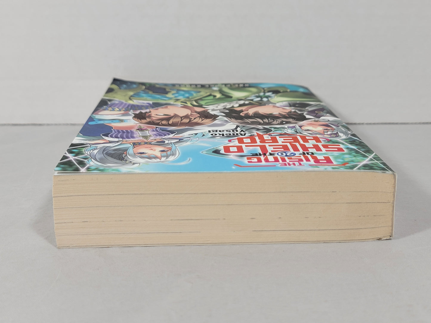 The Rising of the Shield Hero #20 (Light Novel, Aneko Yusagi, English, 2021)