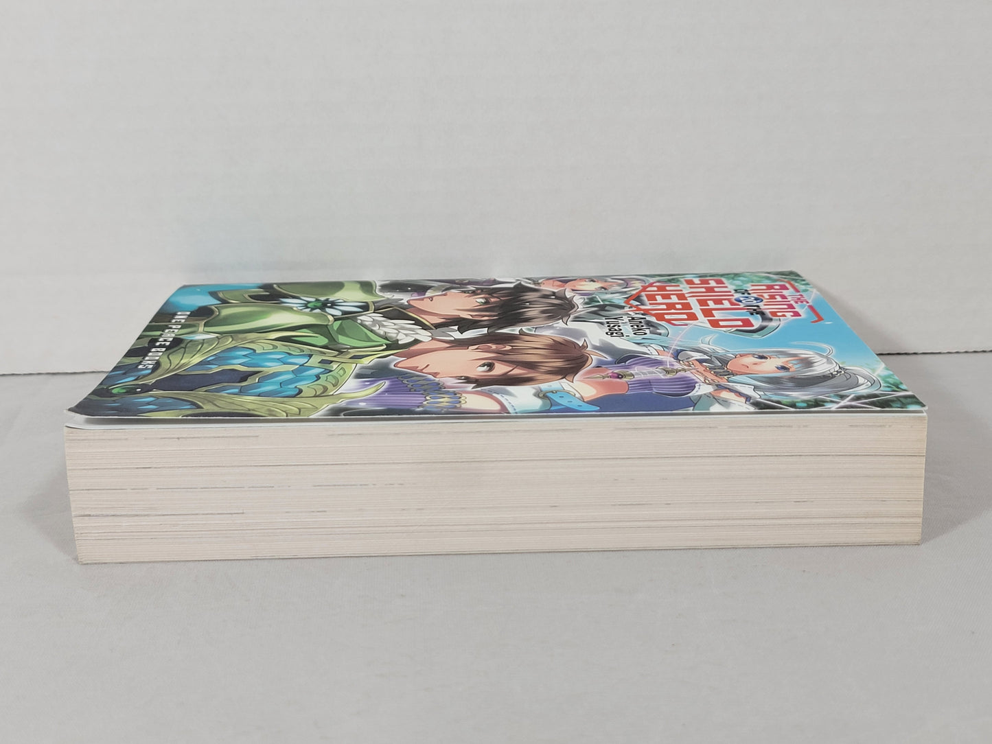 The Rising of the Shield Hero #20 (Light Novel, Aneko Yusagi, English, 2021)