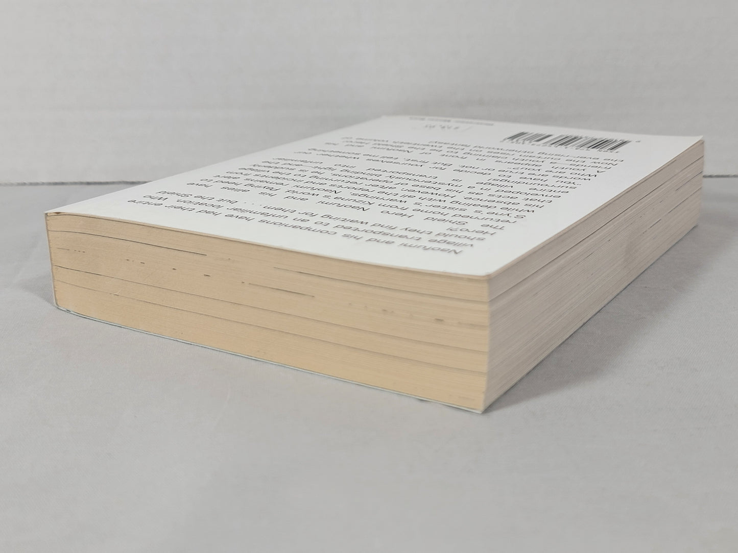 The Rising of the Shield Hero #20 (Light Novel, Aneko Yusagi, English, 2021)