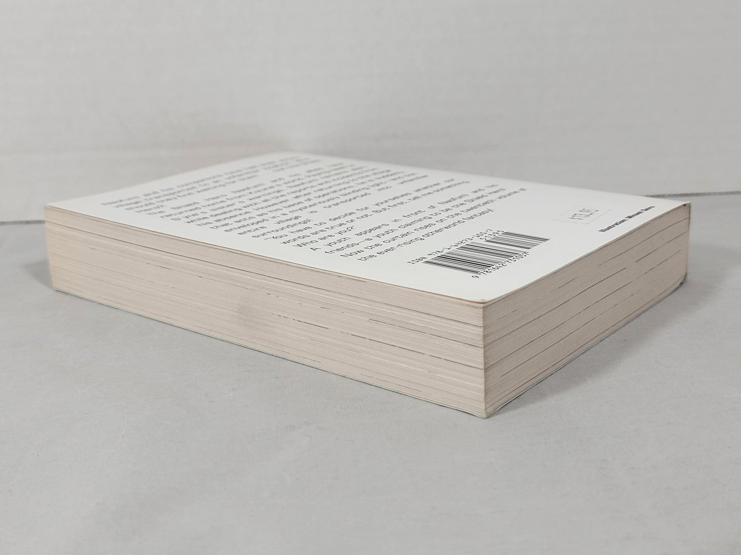 The Rising of the Shield Hero #20 (Light Novel, Aneko Yusagi, English, 2021)