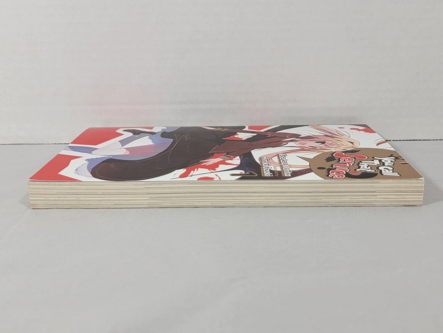 You Call That Service? #1 (light Novel, Kisetsu Morita, 2019, Yen On, English)