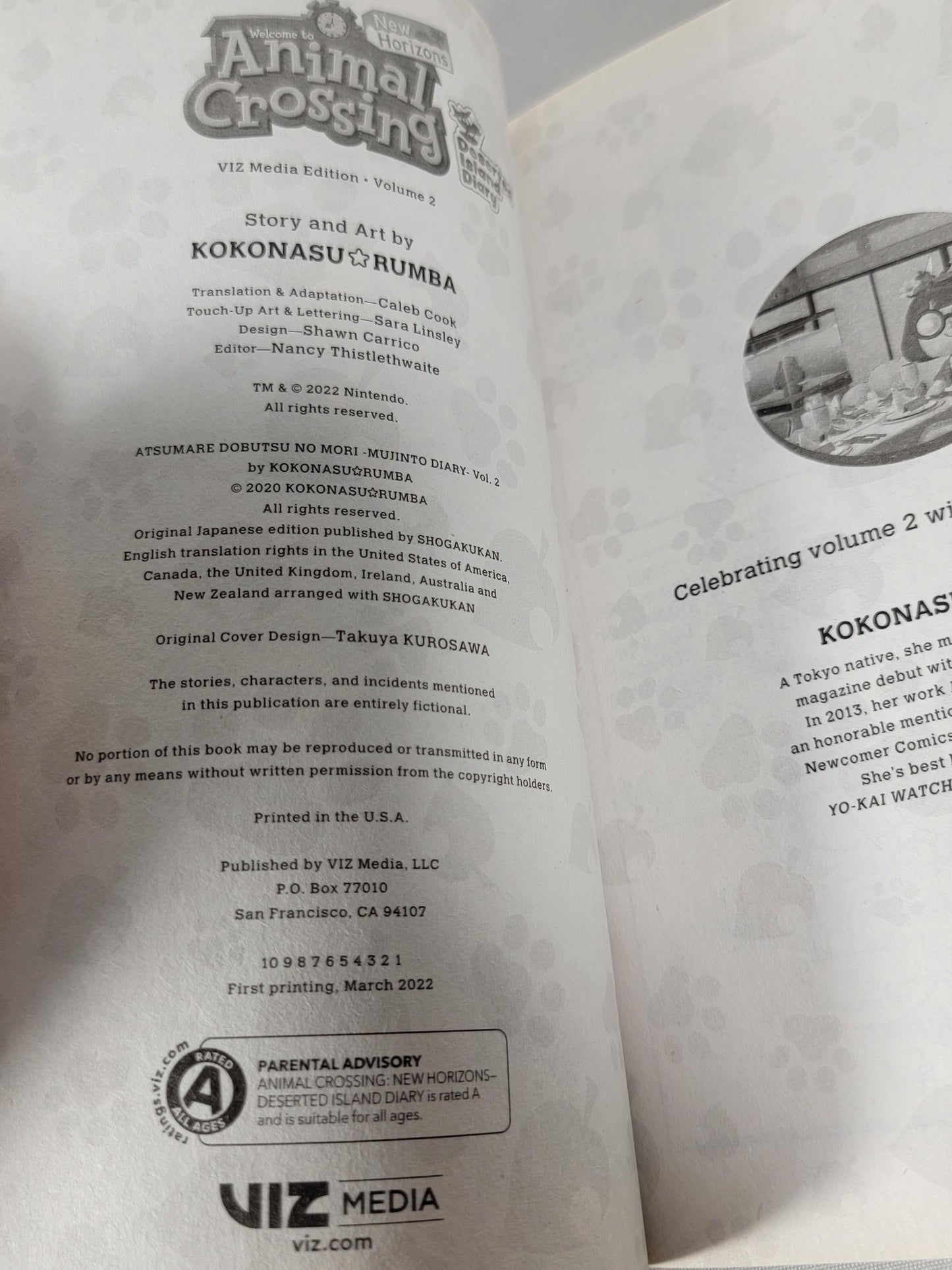 Animal Crossing: New Horizons, Deserted Island Diary #2