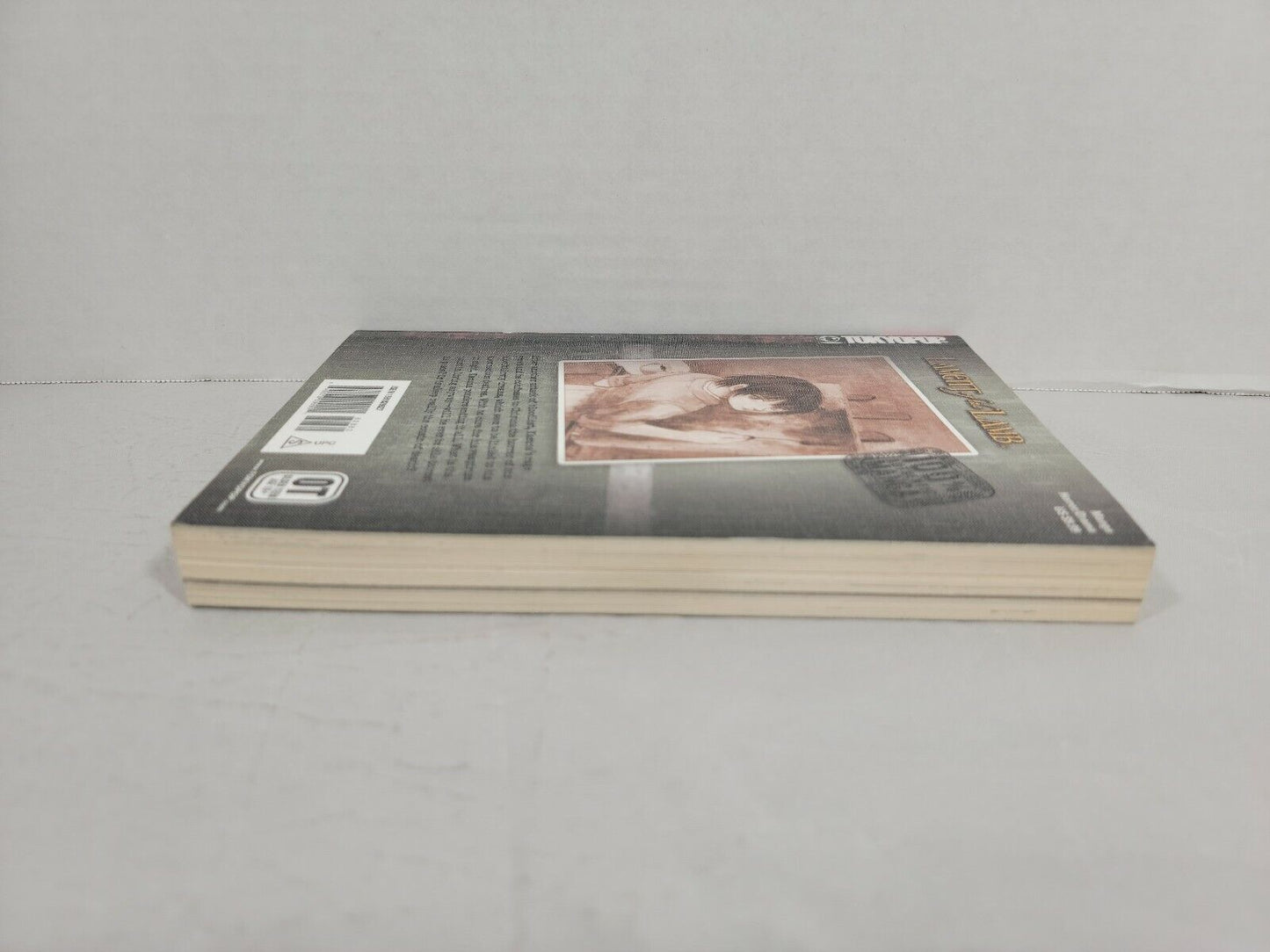 Lament of the Lamb, Vol. 3 by Kei Toume