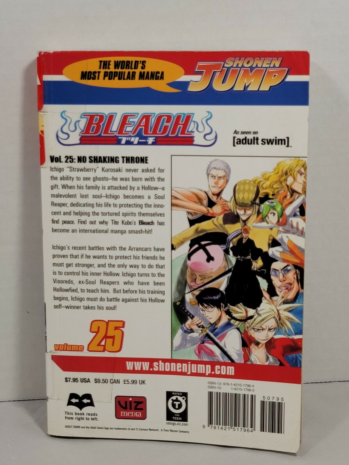 Bleach #25 by Tite Kubo Ex-Library copy