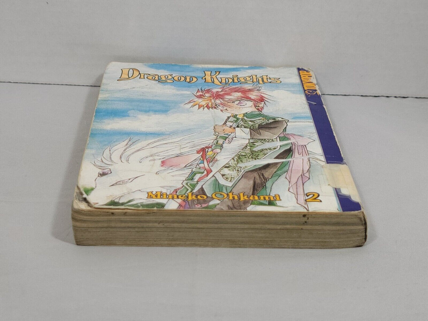 Dragon Knights, Vol. 2 by Mineko Ohkami Ex-Library copy