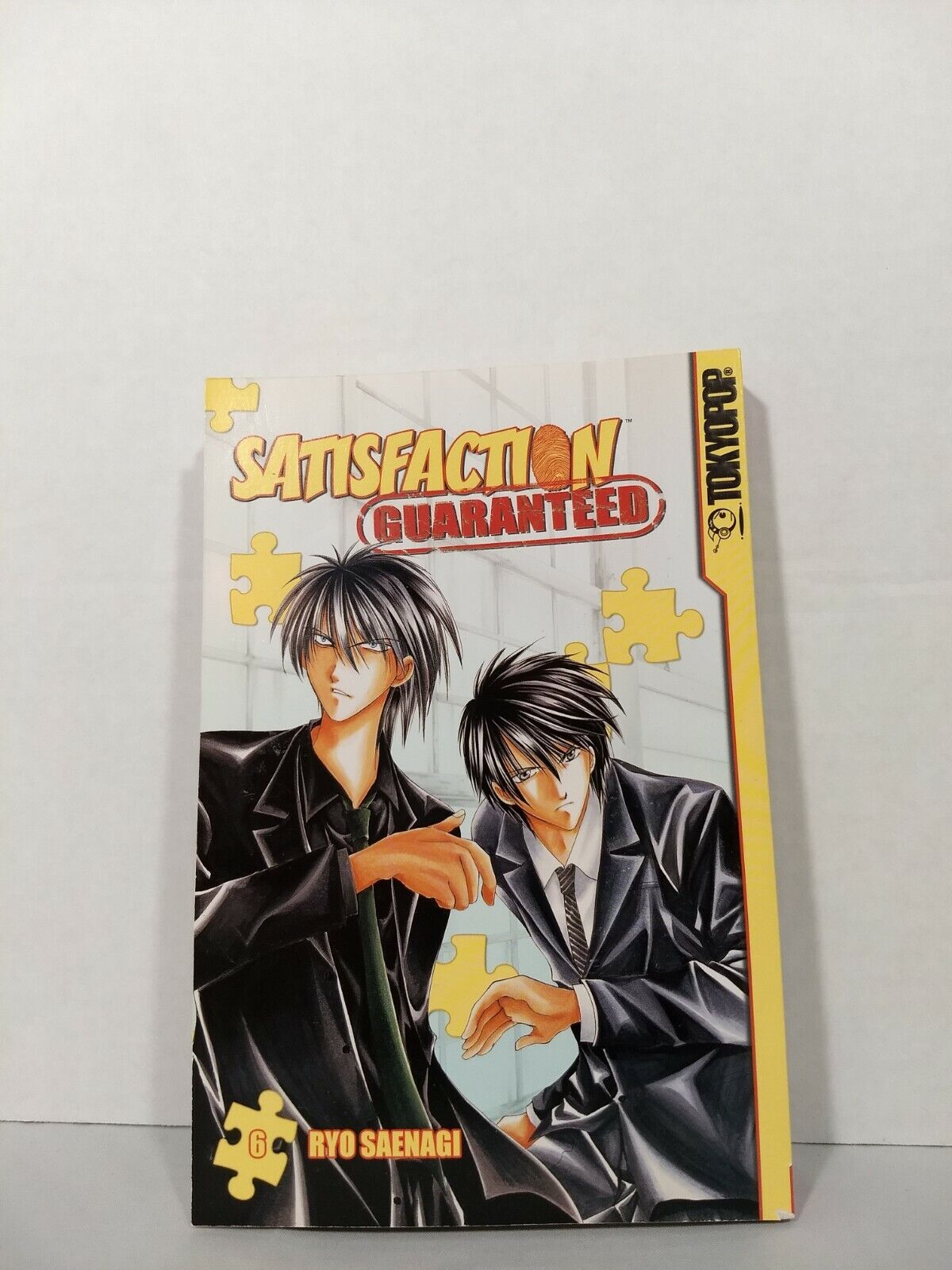 Satisfaction Guaranteed, Vol. 6 by Ryo Saenagi