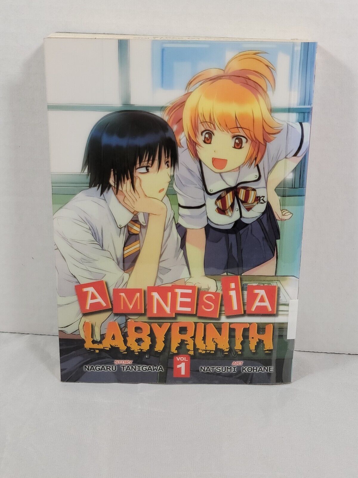 Amnesia Labyrinth #1 Ex-Library copy by Nagaru Tanigawa and Natsumi Kohane