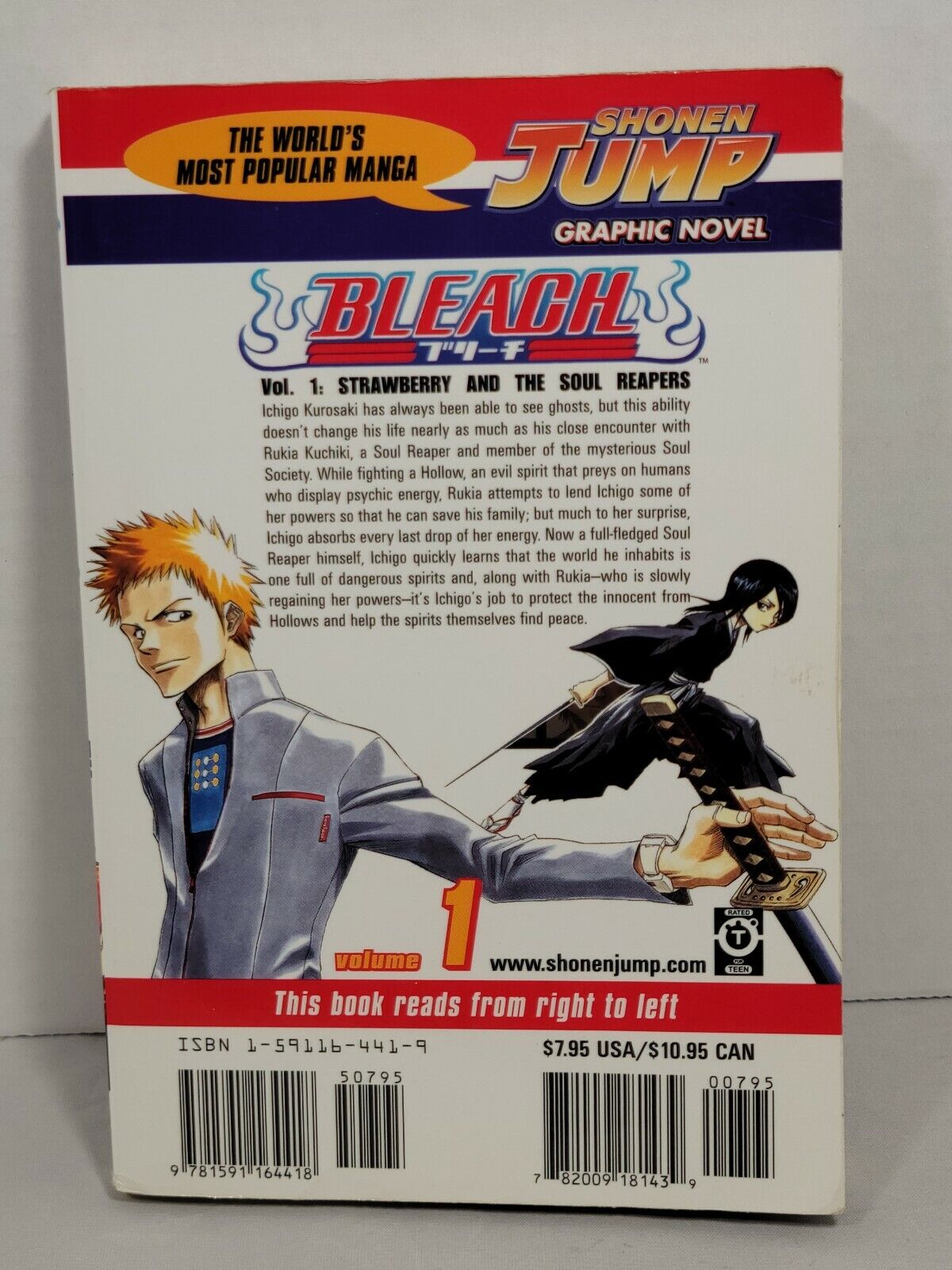 Bleach #1 by Tite Kubo