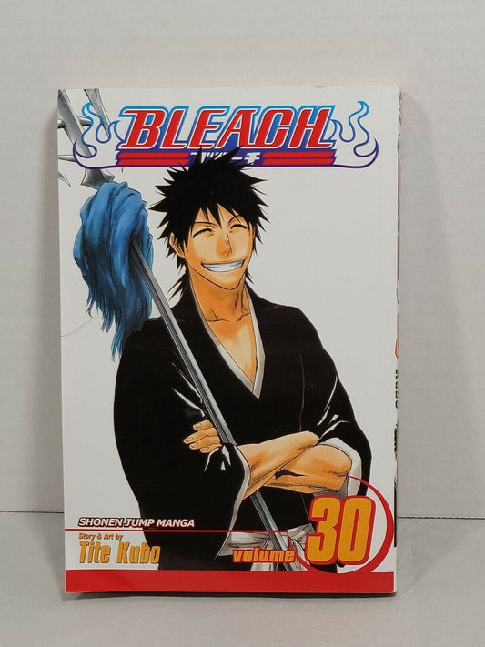 Bleach #30 by Tite Kubo