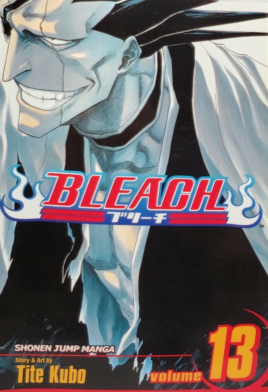 Bleach #13 by Tite Kubo