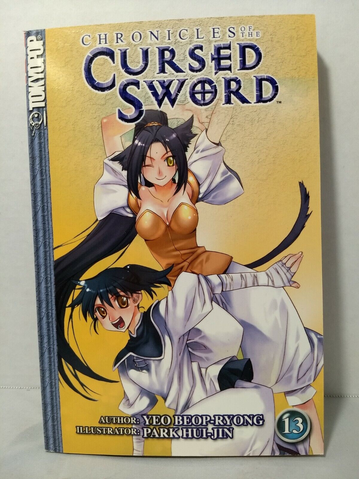 Chronicles of the Cursed Sword #13 by Yeo Beop-ryong