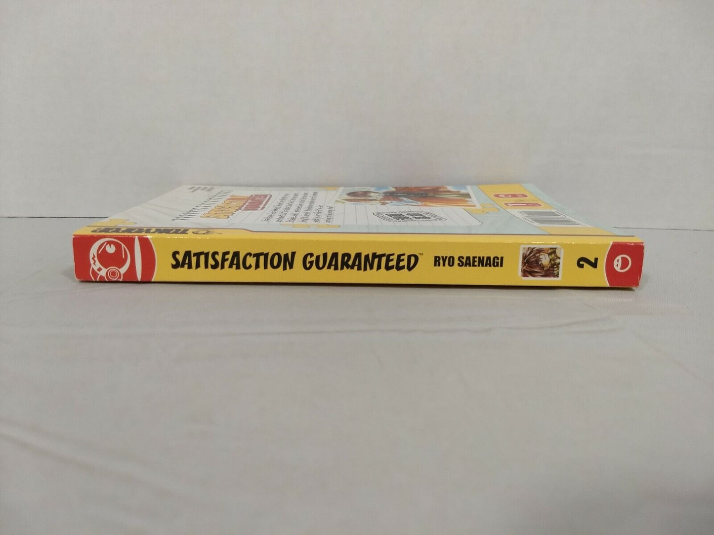 Satisfaction Guaranteed, Vol. 2 by Ryo Saenagi