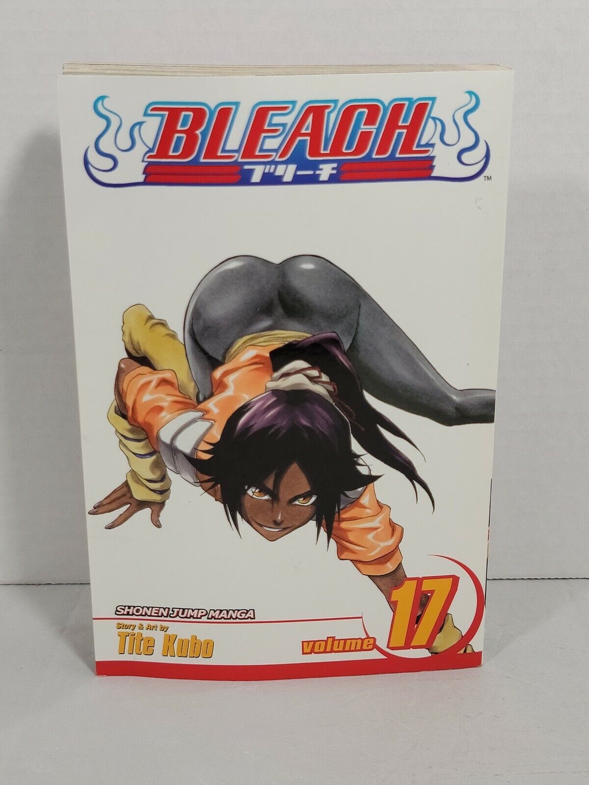 Bleach #17 by Tite Kubo