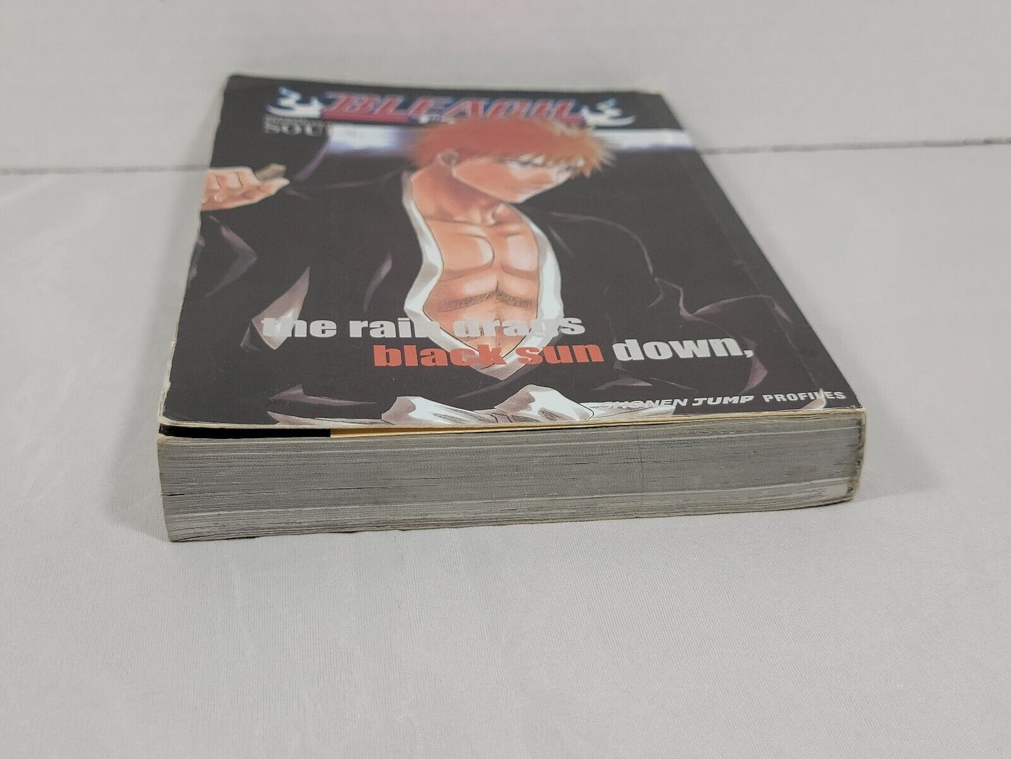 Bleach Souls: Official Character Book