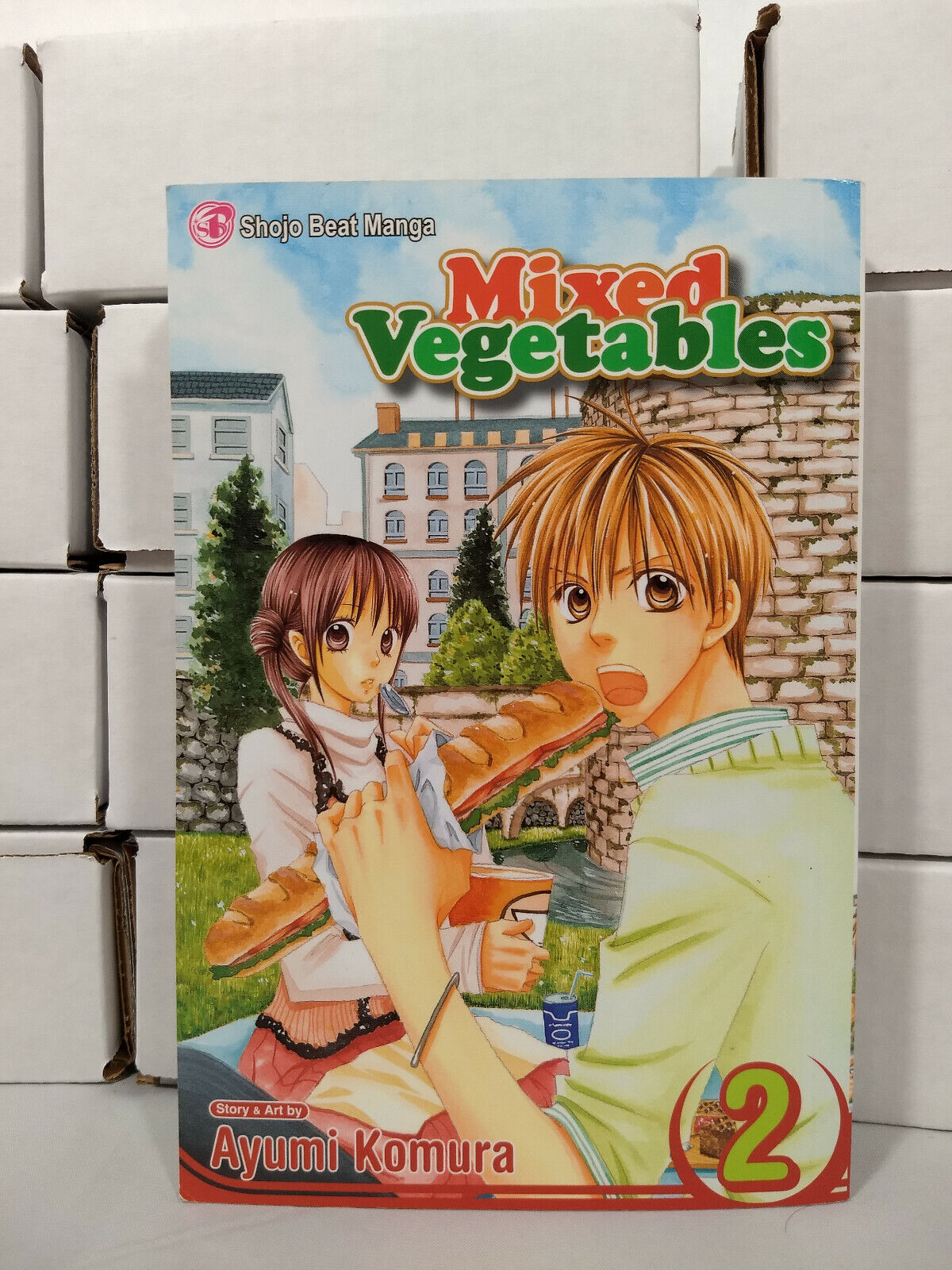 Mixed Vegetables Vol. 2 by Ayumi Komura (Viz Media, English Manga)