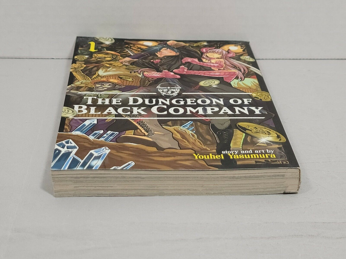 The Dungeon of Black Company Vol. 1 by Youhei Yasumura (Seven Seas, English)