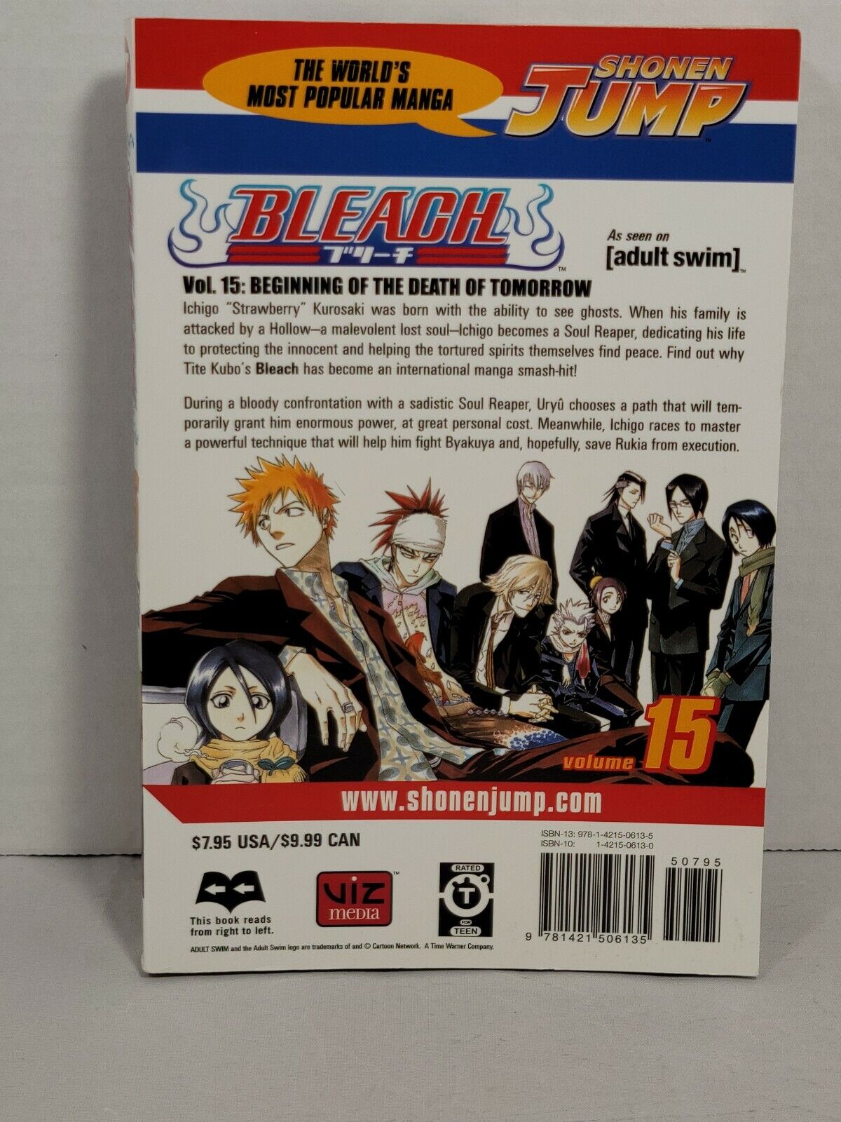 Bleach #15 by Tite Kubo