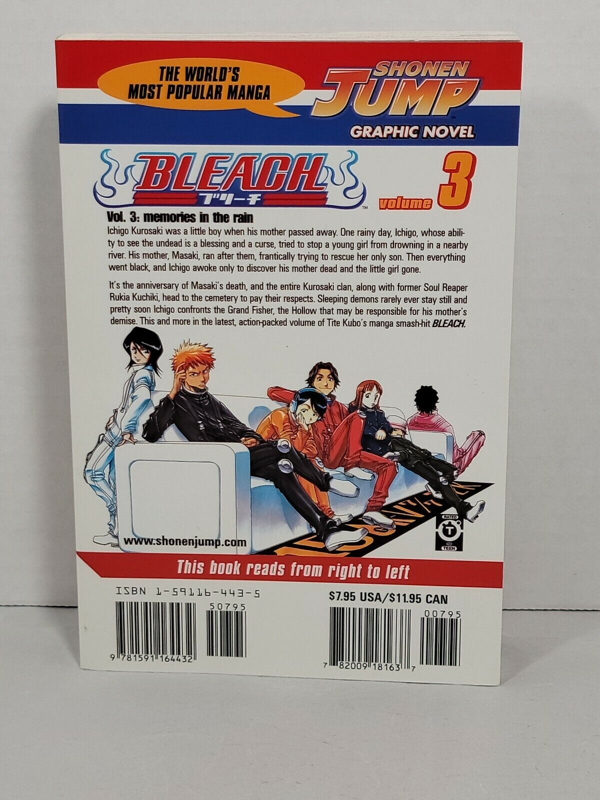 Bleach #3 by Tite Kubo