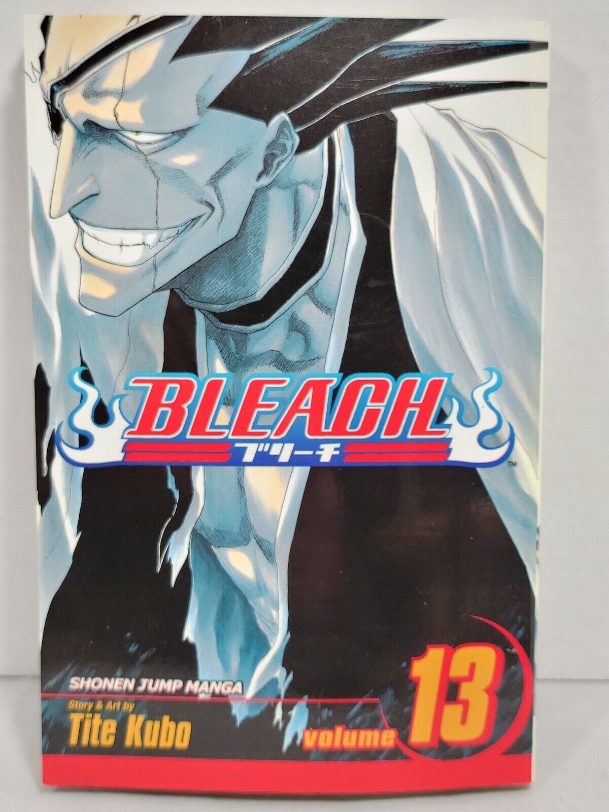 Bleach #13 by Tite Kubo