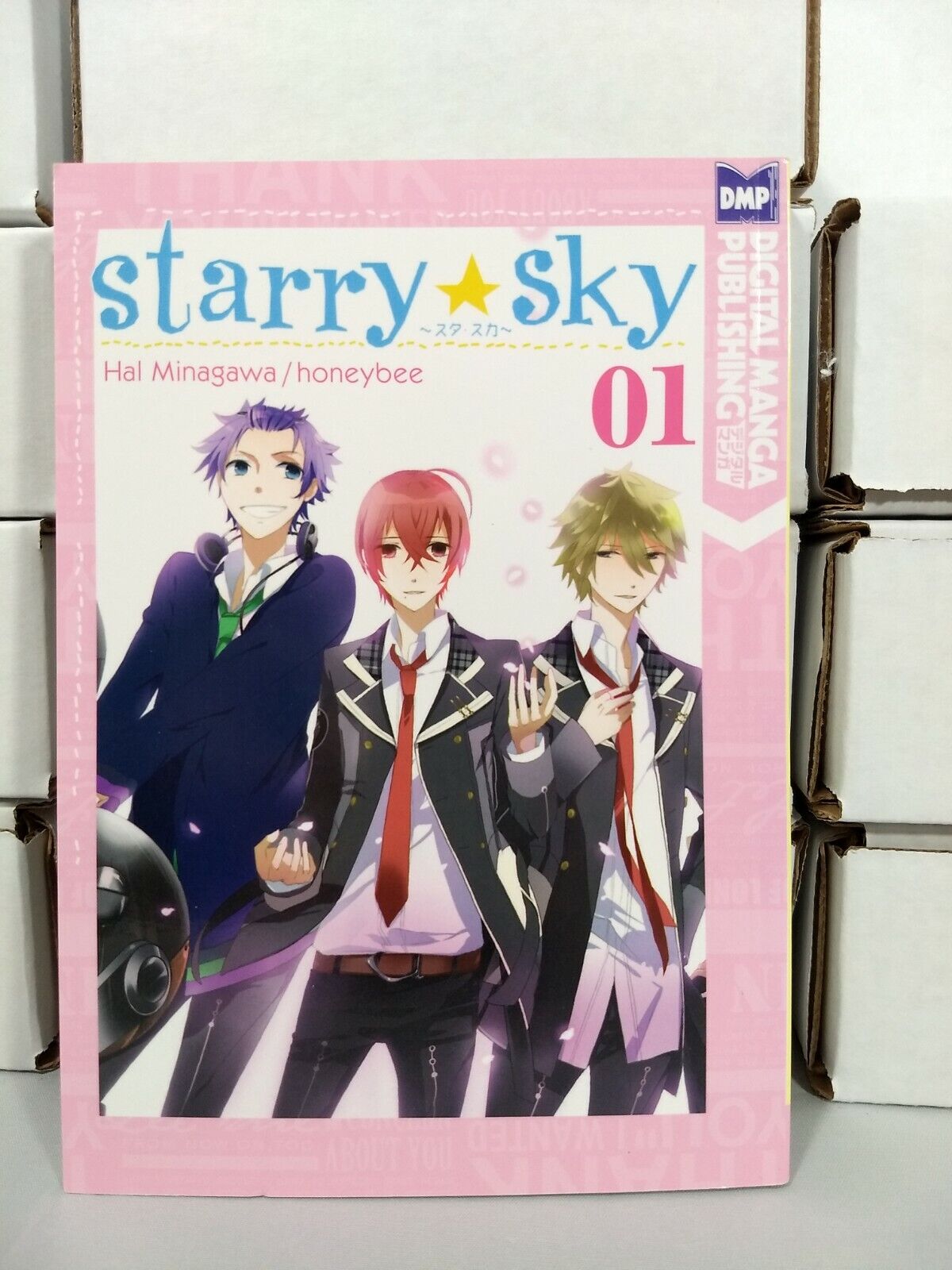 Starry Sky Vol 1 by Haru Minagawa (DMP, Egnlish, Trade Paperback)