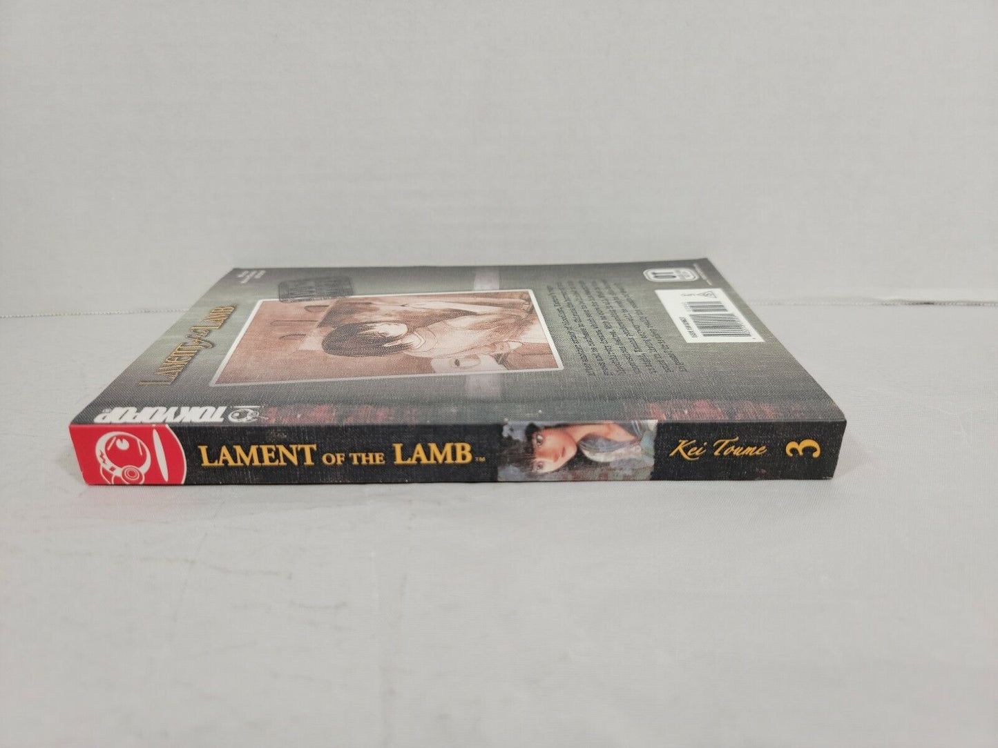 Lament of the Lamb, Vol. 3 by Kei Toume