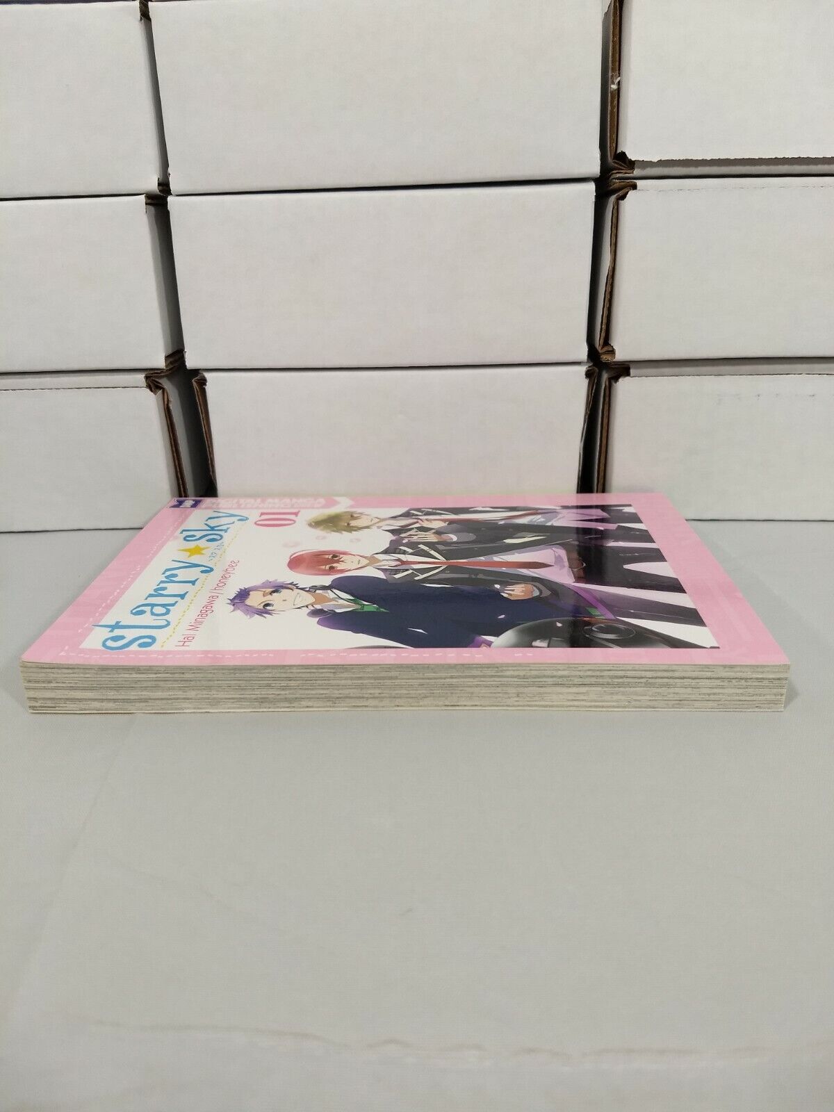 Starry Sky Vol 1 by Haru Minagawa (DMP, Egnlish, Trade Paperback)