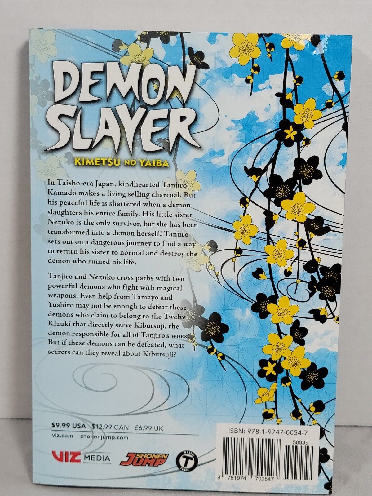 Demon Slayer, Vol. 3 by Koyoharu Gotouge(Trade Paperback, English, Viz Media)