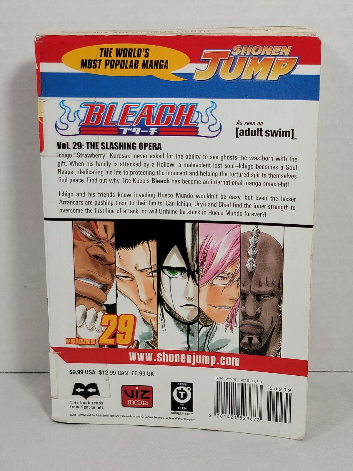 Bleach #29 by Tite Kubo Ex-Library copy