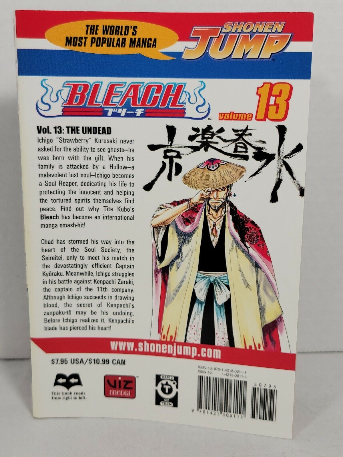 Bleach #13 by Tite Kubo